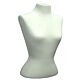 Classic Style Blouse Form