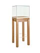 PD550 is a modern wooden museum display case ideal to protect and exhibit your delicate work of art. It’s form is very modern and efficient.